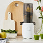H310 Easy Clean Slow Juicer