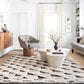 Loloi Khalid KF-02 Natural / Black area rug - image 2