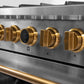 Kucht 36" 5.2 cu. ft. 6 Burner Propane Gas Dual Fuel Range in Stainless Steel with Gold Accents and Digital Thermostat