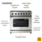 THOR Kitchen 36 in. 6.0 Cu. Ft Professional Natural Gas Range in Stainless Steel, LRG3601U