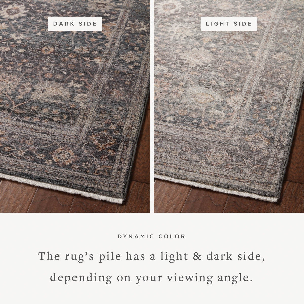 Loloi Lyra LYR-04 Ink / Multi area rug - image 2