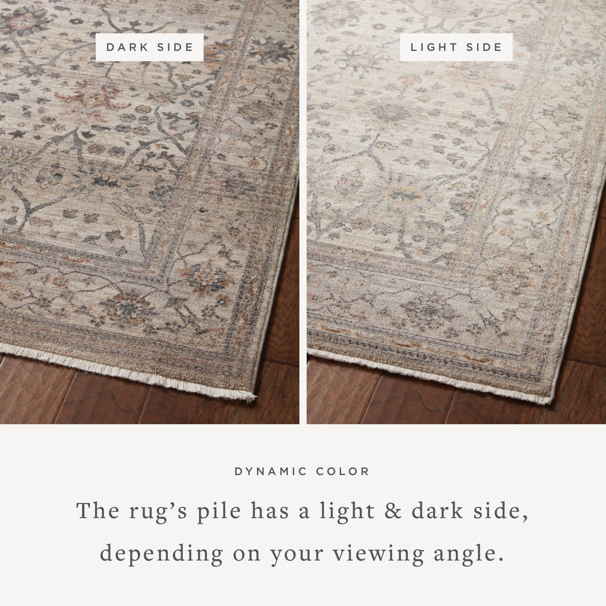 Loloi Lyra LYR-04 Pebble / Multi area rug - image 2
