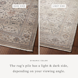 Loloi Lyra LYR-04 Pebble / Multi area rug - image 2