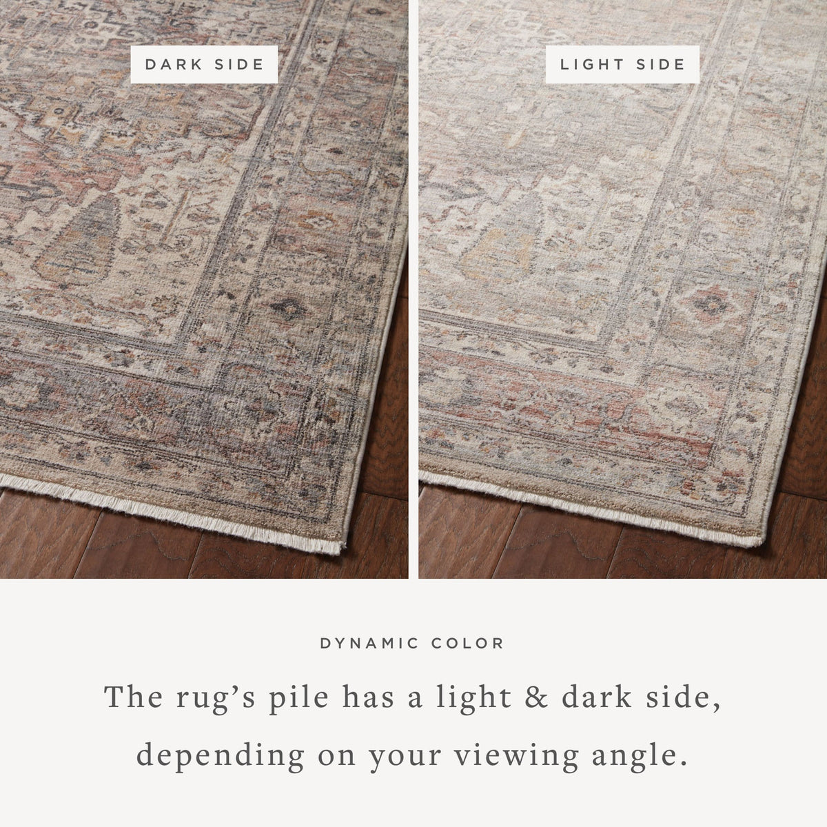 Loloi Lyra LYR-05 Sunset / Silver area rug - image 2
