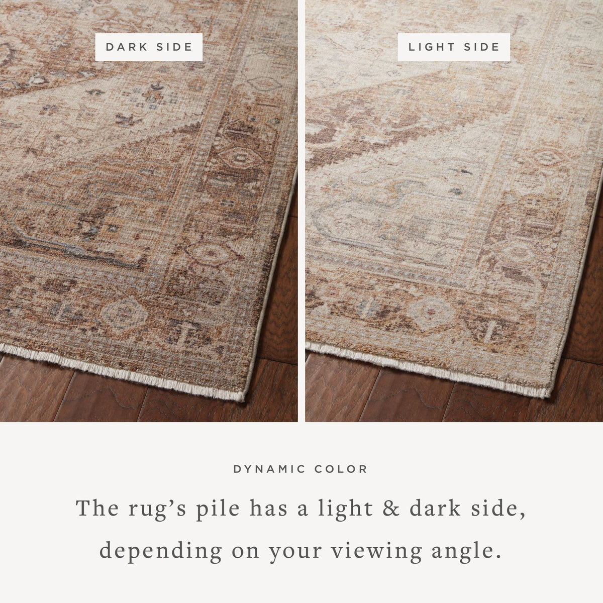 Loloi Lyra LYR-07 Natural / Mocha area rug - image 4