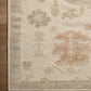 Loloi Marianne MAA-02 Ivory / Multi area rug - image 3