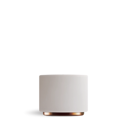 Fellow Monty Milk Art Cups for Cappuccino, 6.5 oz