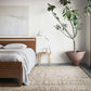 Loloi Odyssey OD-01 Natural / Ash area rug - image 4