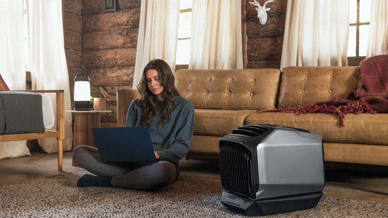 EcoFlow WAVE 2 Portable Air Conditioner with Heater (No add-on battery)
