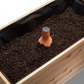 Self-Watering Clay Olla Pot