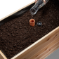 Self-Watering Clay Olla Pot