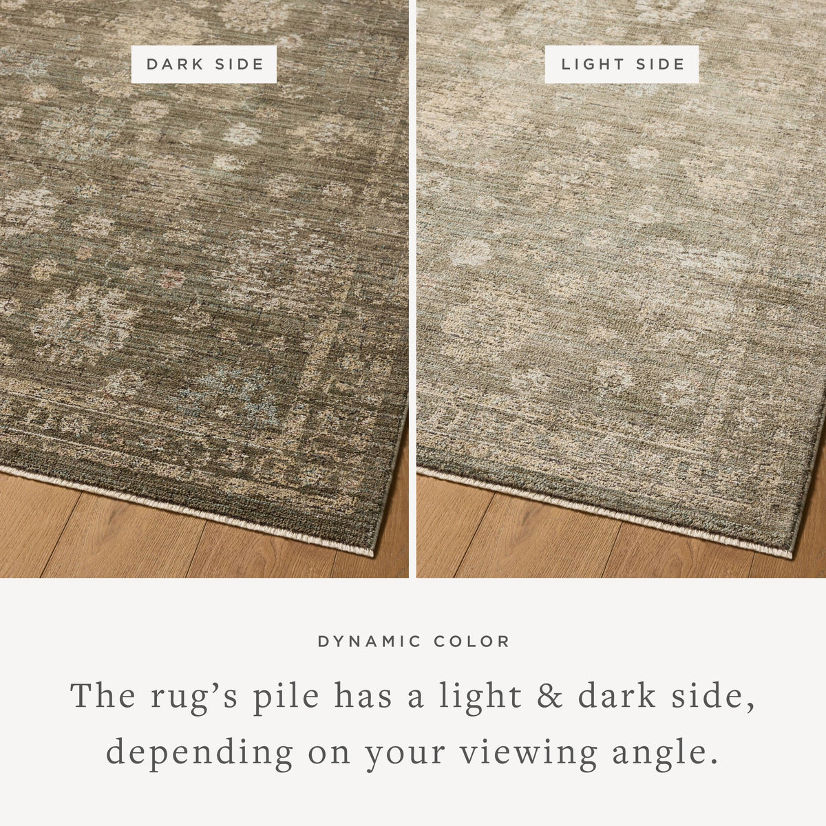 Loloi Priscilla PRL-02 Olive / Sand area rug - image 4