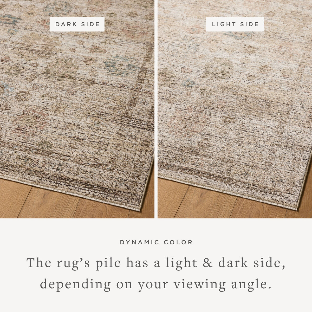 Loloi Priscilla PRL-06 Ivory / Multi area rug - image 4