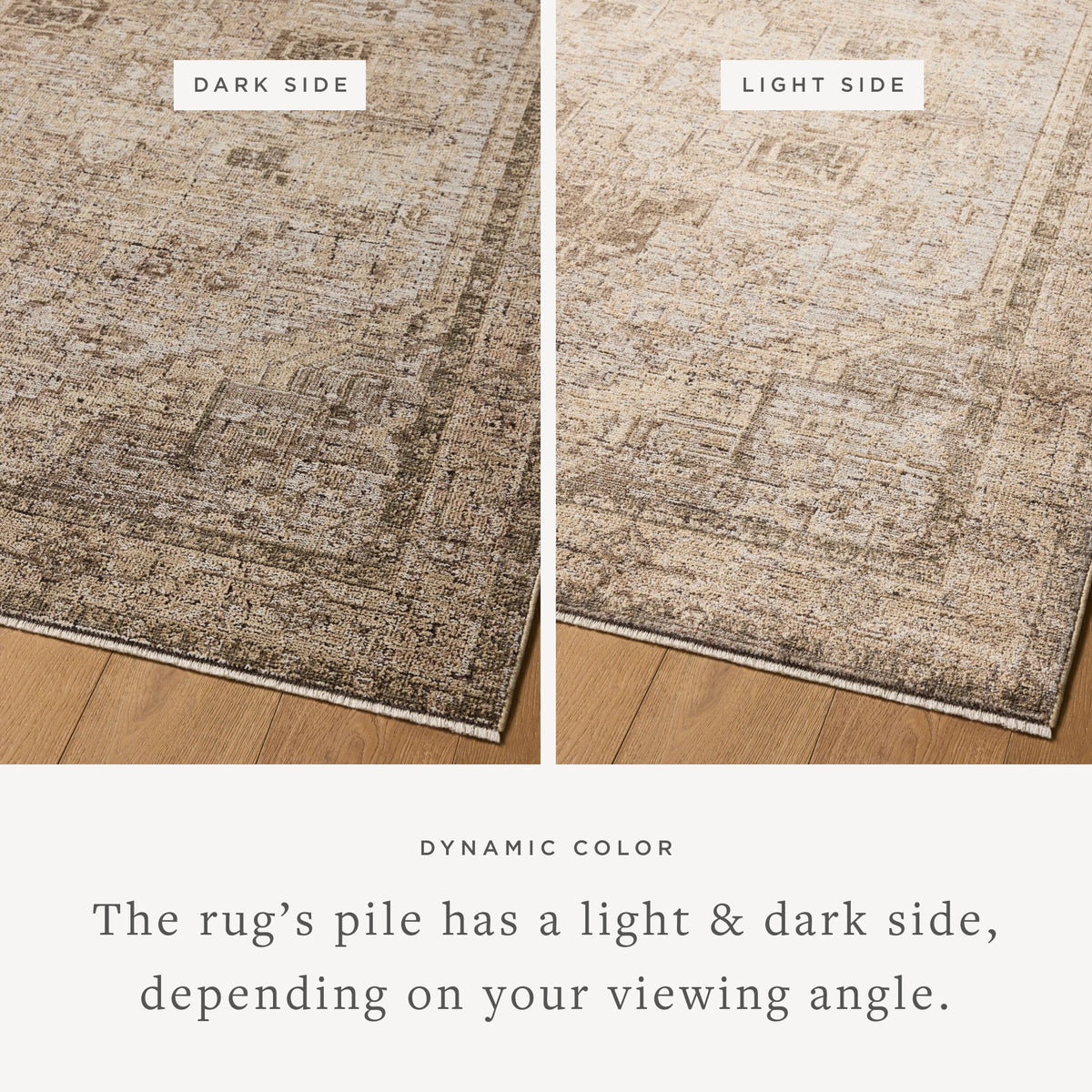 Loloi Priscilla PRL-07 Beige / Earth area rug - image 3