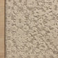Loloi Prudence PRU-01 Stone / Ivory area rug - image 3