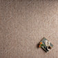 Loloi Raven RAV-01 Oatmeal / Natural area rug - image 2