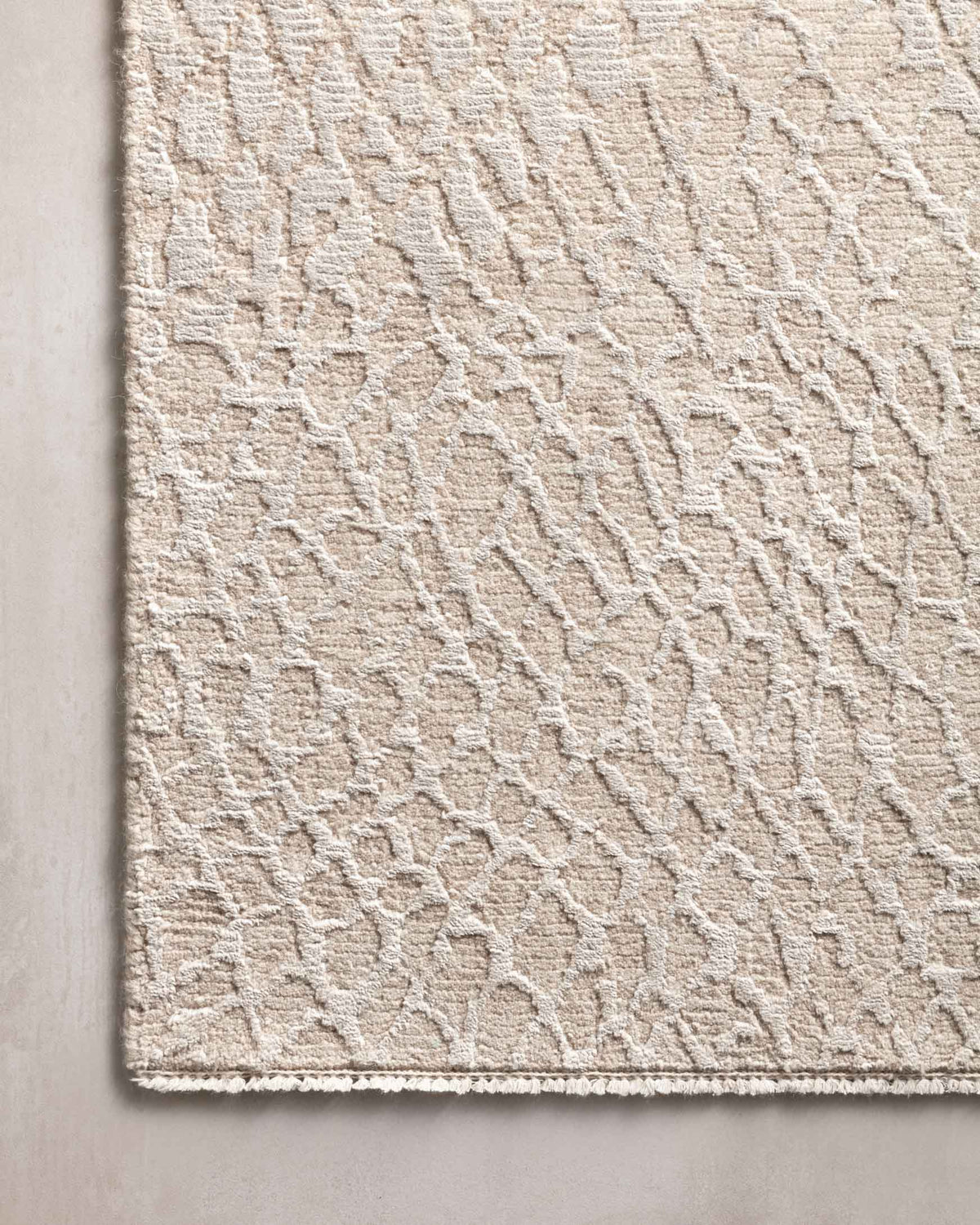 Loloi Rhea RHE-04 Natural area rug - image 6