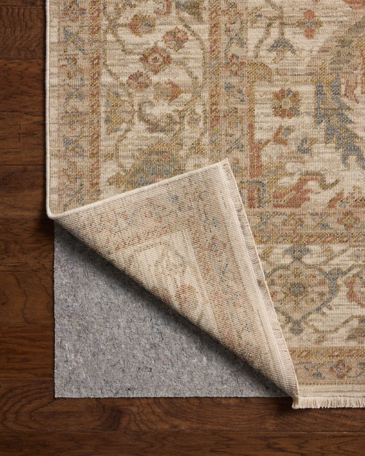 Loloi Reign REN-01 Ivory / Sunset area rug - image 9