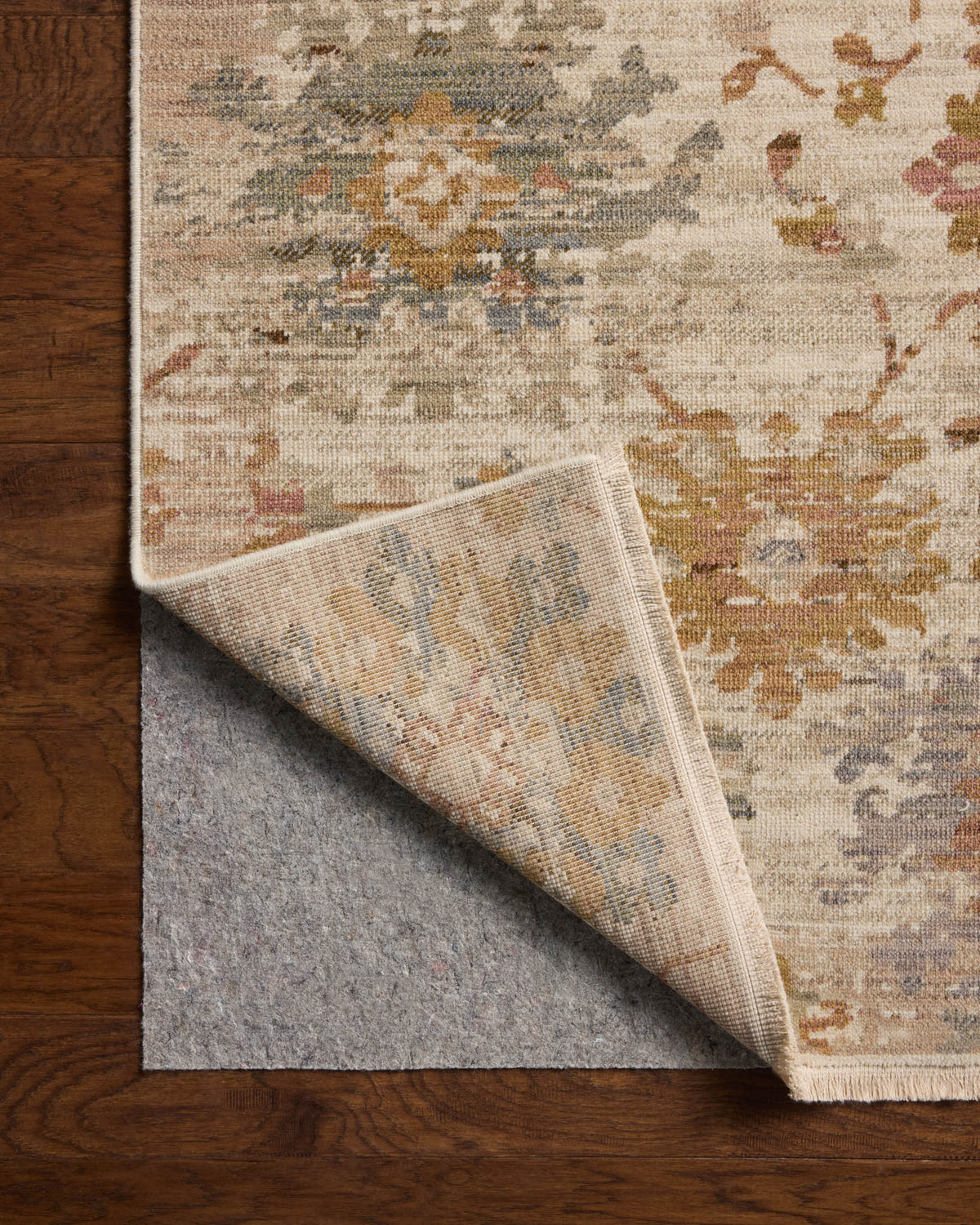 Loloi Reign REN-03 Ivory / Multi area rug - image 9