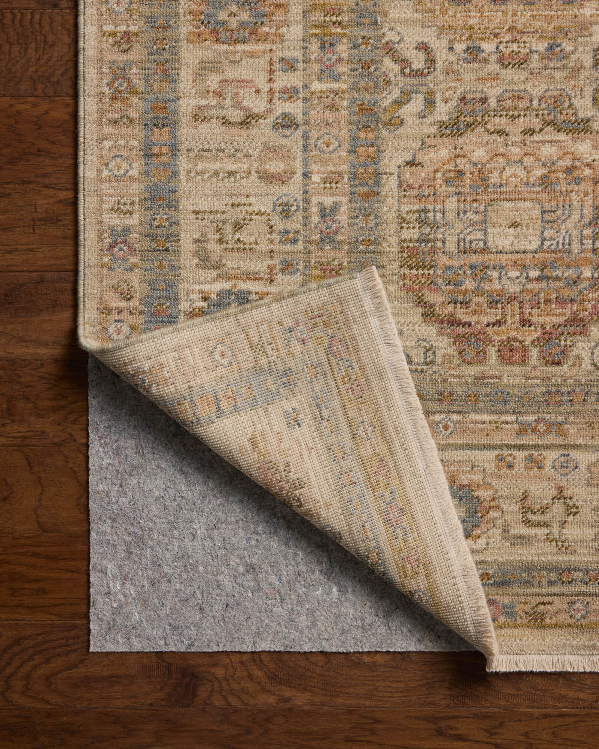 Loloi Reign REN-04 Dove / Multi area rug - image 9