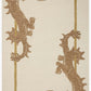 Loloi Romi RMI-01 Ivory / Spice area rug - image 1