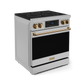 Gordon Ramsay by THOR Kitchen 30" 4.55 cu. ft. Professional Electric Range with Tilt Panel Touch Control, Self-Clean and Air Fry in Stainless Steel with Bronze Accents, RSE30-BRZ