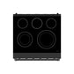 Gordon Ramsay by THOR Kitchen 30 Inch Professional Electric Range, 5 Element, Convection Oven in Matte Black, RSE30PB