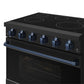 Gordon Ramsay by THOR Kitchen 36" 6 cu. ft. Professional Electric Range with 5 Burners in Black with Blue Accents, RSE36PB-BLU