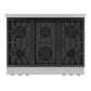 Gordon Ramsay by THOR Kitchen 36" 6.0 cu. ft. Professional Natural Gas Range with Tilt Panel Touch Control, Self-Clean and Air Fry in Stainless Steel with Navy Blue Accents, RSG36-BLU