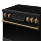 Gordon Ramsay by THOR Kitchen 36" Induction Range in Black Matte with Bronze Accents, RSI36B-BRZ