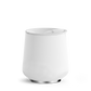 Ruby Wine Tumbler