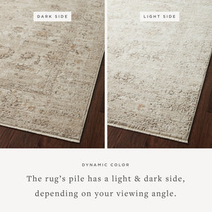 Loloi Sonnet SNN-01 Sand / Taupe area rug - image 2
