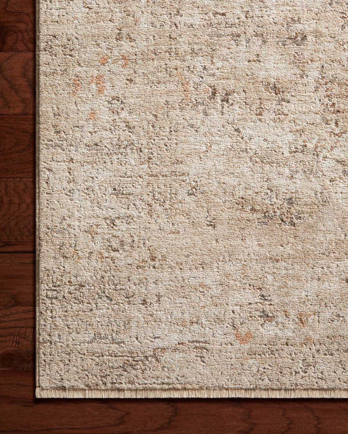 Loloi Sonnet SNN-01 Sand / Taupe area rug - image 4