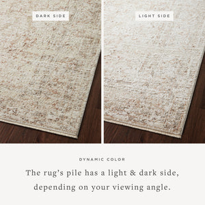 Loloi Sonnet SNN-03 Beige / Terracotta area rug - image 2