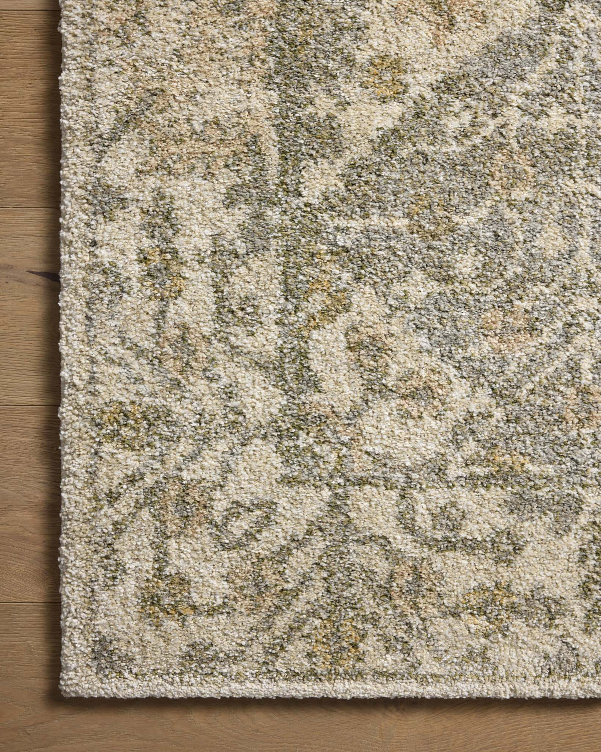 Loloi Tamryn TAM-01 Beige / Multi area rug - image 4
