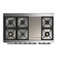 ILVE Majestic III 48-Inch Dual Fuel Range with 5 Sealed Burners + Griddle + French Top, 5.02 cu. ft. Oven, RAL with Burnished Trim, Natural Gas, Triple Glass Door, UM48FNR3RAB
