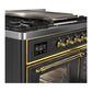 ILVE Majestic III 40-Inch Dual Fuel Range with 6 Sealed Burners + Griddle, 3.82 cu. ft. Oven, Matte Graphite with Brass Trim, Natural Gas, Triple Glass Door, UMD40FNR3MGG