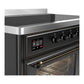 ILVE Majestic III 48-Inch Induction Range with 6 Induction Elements, 5.02 cu. ft. Oven, Matte Graphite with Burnished Trim, Triple Glass Door, UMIB48NR3MGB