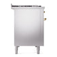 ILVE Nostalgie II 48-Inch Dual Fuel Range with 8 Sealed Burners + Griddle, 5.02 cu. ft. Oven, Stainless Steel with Brass Trim, Liquid Propane, Solid Door, UN48FQNMPSSGLP