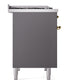 ILVE Nostalgie II 40-Inch Dual Fuel Range with 6 Sealed Burners + Griddle, 4.3 cu. ft. Oven, Graphite Matte with Brass Trim, Natural Gas, Triple Glass Door, UPD40FNMPMGG