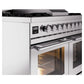 ILVE Professional Plus II 40-Inch Dual Fuel Range with 6 Sealed Burners + Griddle, 4.3 cu. ft. Oven, Stainless Steel, Liquid Propane, Triple Glass Door, UPD40FWMPSSLP