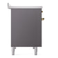 ILVE Nostalgie II 40-Inch Induction Range with 6 Induction Elements, 4.3 cu. ft. Oven, Graphite Matte with Brass Trim, Triple Glass Door, UPDI406NMPMGG