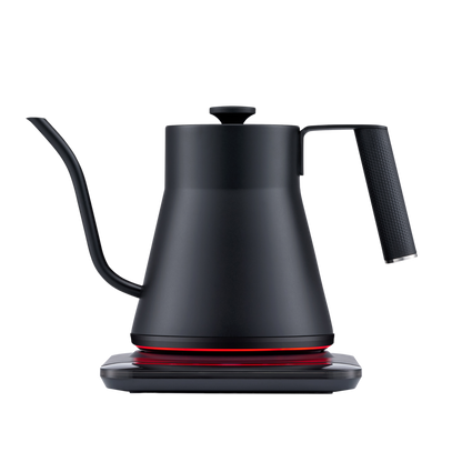 Baristan Gooseneck Kettle