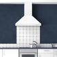 Hauslane Chef 30-in Convertible Matte White Wall-Mounted Range Hood