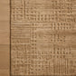 Loloi Woods WDS-04 Sand area rug - image 3