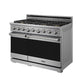 THOR Kitchen 48" 7.6 cu. ft. Professional Propane Gas Range with 7 Italian Brass Sealed Burners in Stainless Steel, XRG48ELP