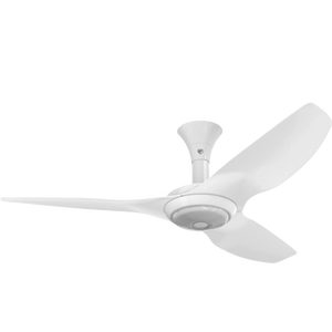 Big Ass Fans Haiku Covered Outdoor Ceiling Fan with White Blade and LED Downlight Kit