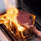 Monument Grills Eminence 405 Series | 4 Burner Tech Propane Gas Grill in Stainless Steel