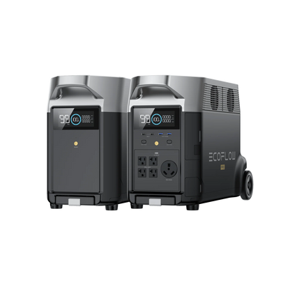 EcoFlow Package - DELTA Pro Portable Power Station (3600Wh) and 1 x Extra Battery