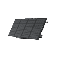 EcoFlow Package - DELTA Mini Portable Power Station (882Wh) and 2 x Portable Solar Panel (160W)